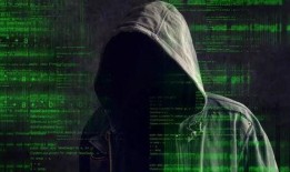 黑客最新爆料电话是多少,黑客最新爆料，神秘电话号码引发网络热议！